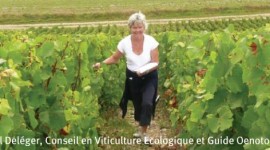 Muriel Deléger Conseil en Viticulture Ecologique et Guide Oenotourisme
