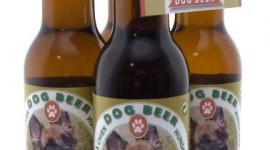 Bière pour chiens
