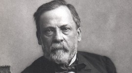 Portrait of Louis Pasteur par Felix Nadar Copied from Portraits from the Dibner Library of the History of Science and Technology